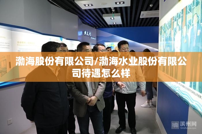 渤海股份有限公司/渤海水业股份有限公司待遇怎么样 渤海股份有限公司/渤海水业股份有限公司待遇怎么样