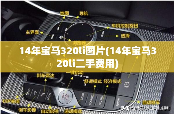 14年宝马320li图片(14年宝马320li二手费用)