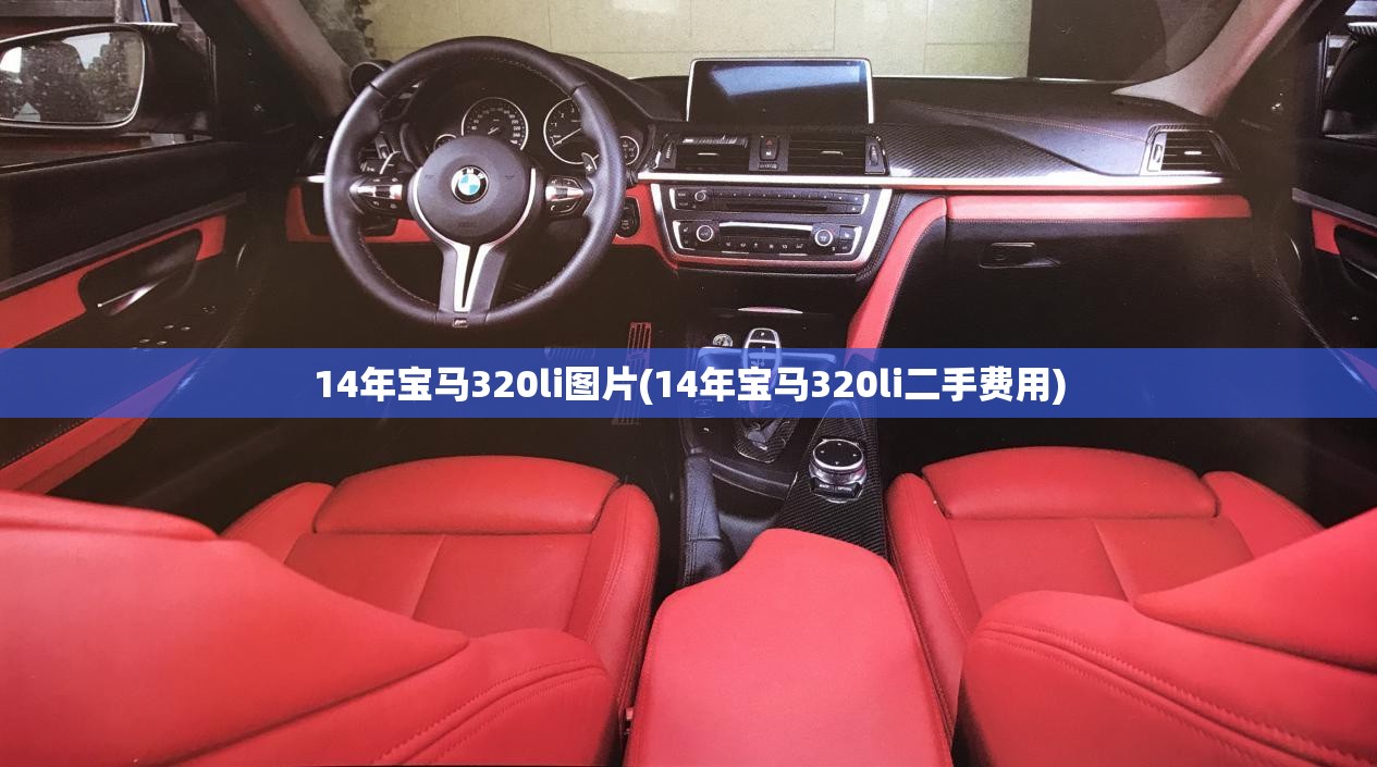 14年宝马320li图片(14年宝马320li二手费用)