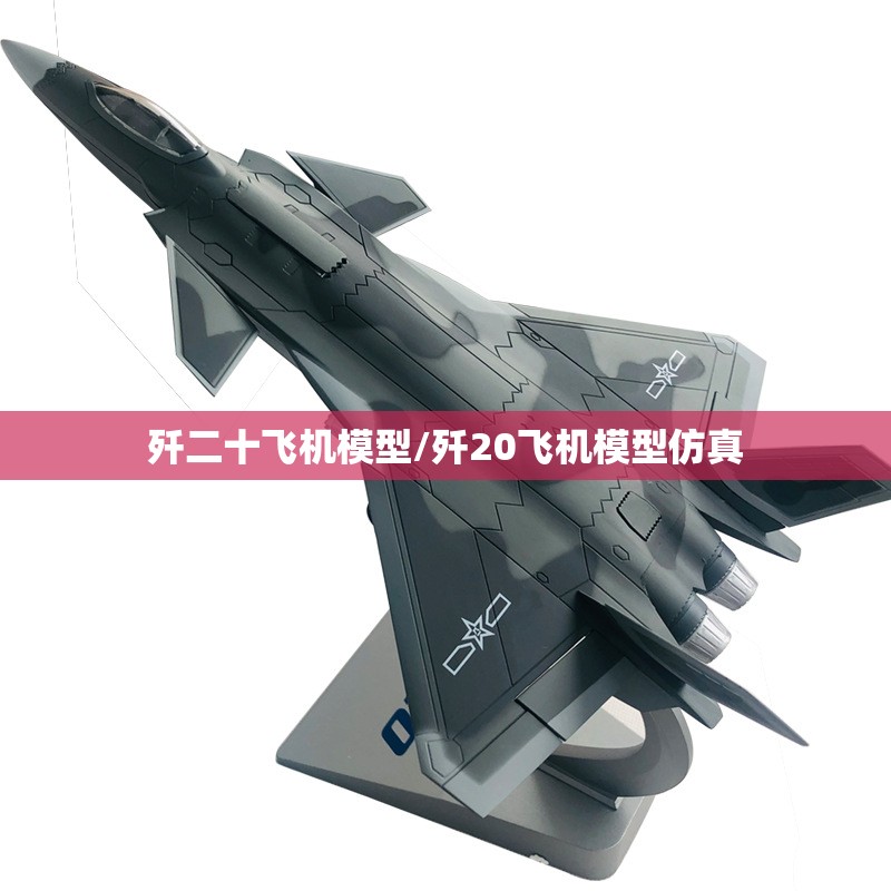 歼二十飞机模型/歼20飞机模型仿真