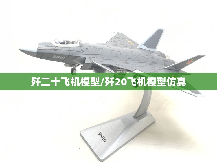 歼二十飞机模型/歼20飞机模型仿真