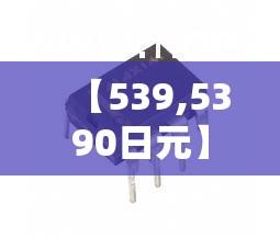 【539,5390日元】