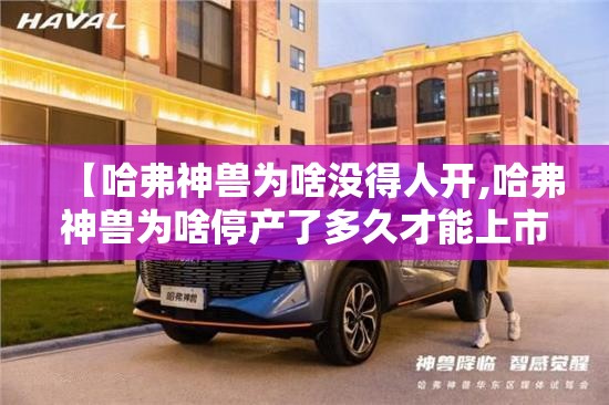 【哈弗神兽为啥没得人开,哈弗神兽为啥停产了多久才能上市】