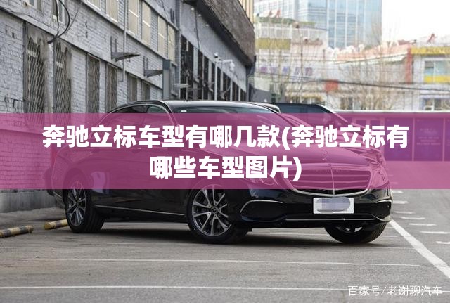 奔驰立标车型有哪几款(奔驰立标有哪些车型图片)