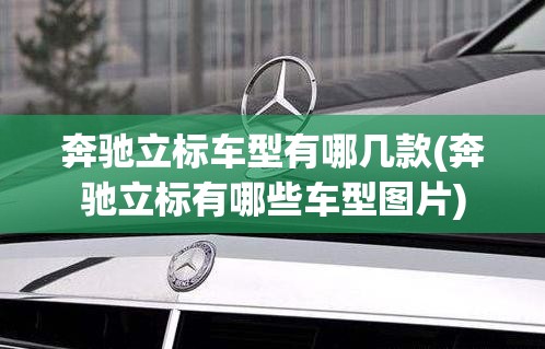 奔驰立标车型有哪几款(奔驰立标有哪些车型图片)