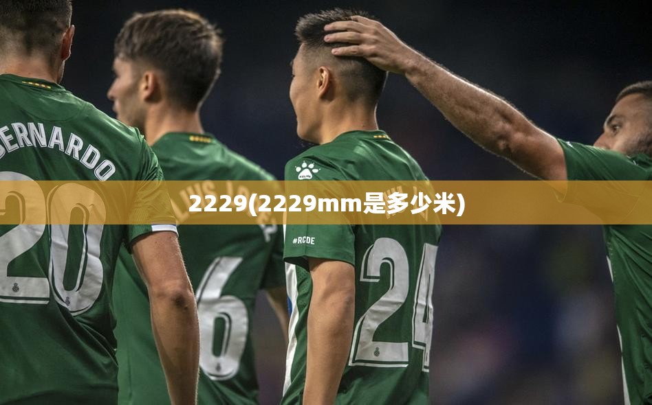 2229(2229mm是多少米)