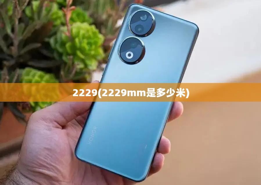 2229(2229mm是多少米)