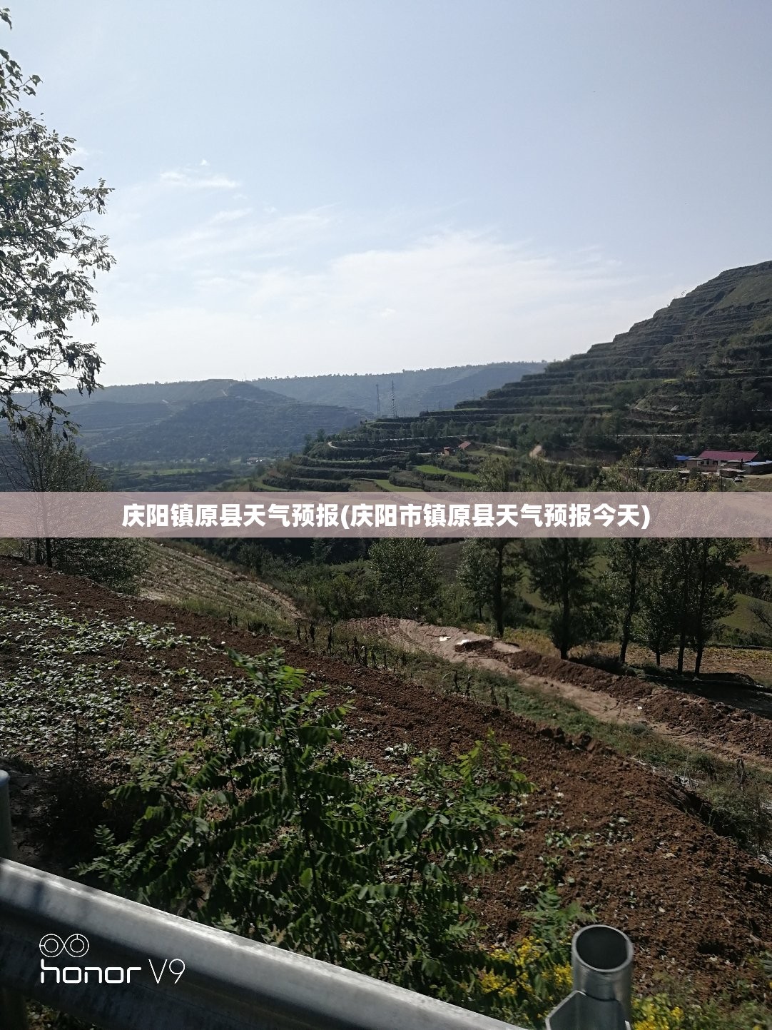庆阳镇原县天气预报(庆阳市镇原县天气预报今天) 庆阳镇原县天气预报(庆阳市镇原县天气预报今天)