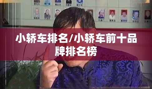 小轿车排名/小轿车前十品牌排名榜 小轿车排名/小轿车前十品牌排名榜