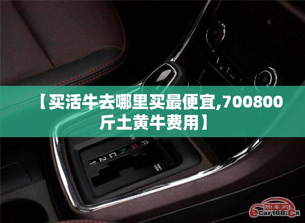 【买活牛去哪里买最便宜,700800斤土黄牛费用】 【买活牛去哪里买最便宜,700800斤土黄牛费用】