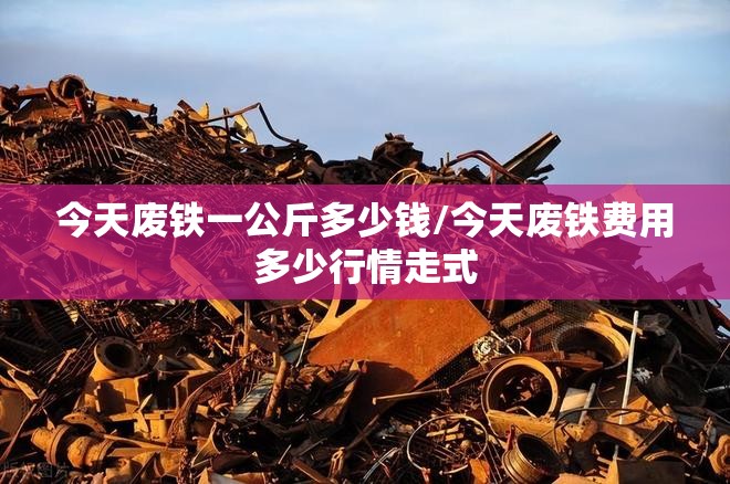 今天废铁一公斤多少钱/今天废铁费用多少行情走式