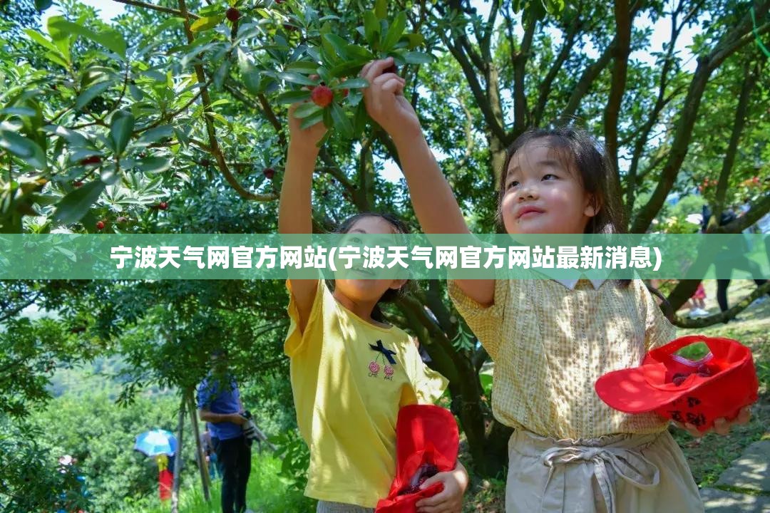 宁波天气网官方网站(宁波天气网官方网站最新消息)