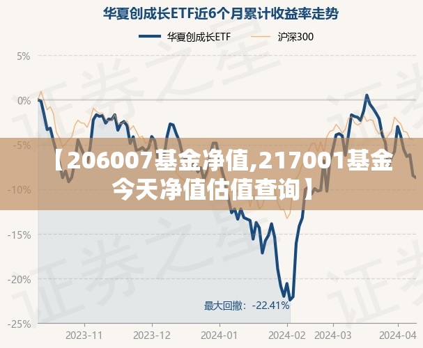 【206007基金净值,217001基金今天净值估值查询】