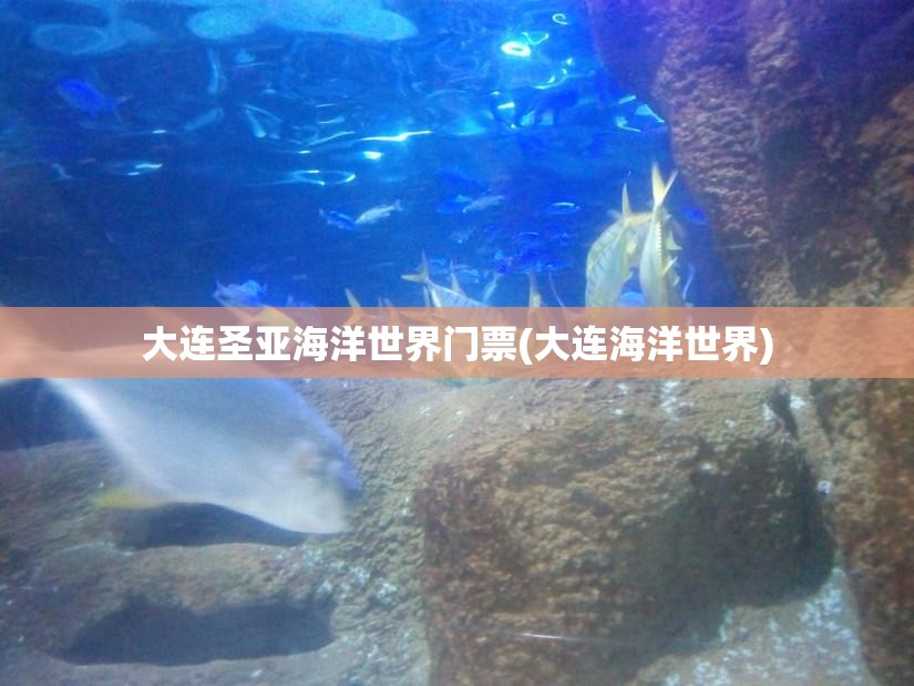 大连圣亚海洋世界门票(大连海洋世界) 大连圣亚海洋世界门票(大连海洋世界)