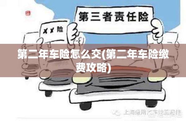 第二年车险怎么交(第二年车险缴费攻略)