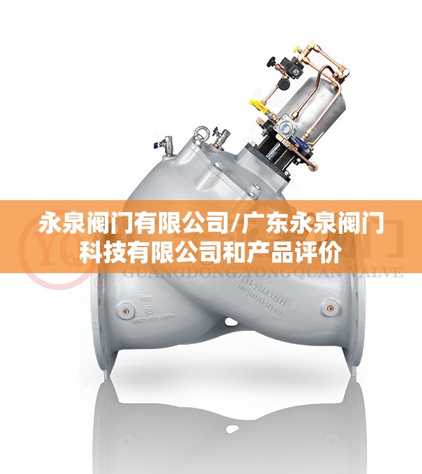 永泉阀门有限公司/广东永泉阀门科技有限公司和产品评价