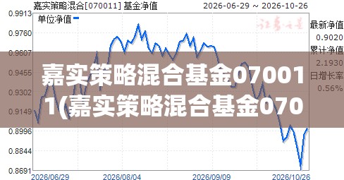 嘉实策略混合基金070011(嘉实策略混合基金070011现在值得买吗)