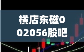 横店东磁002056股吧(002056横店东磁公司简介) 横店东磁002056股吧(002056横店东磁公司简介)