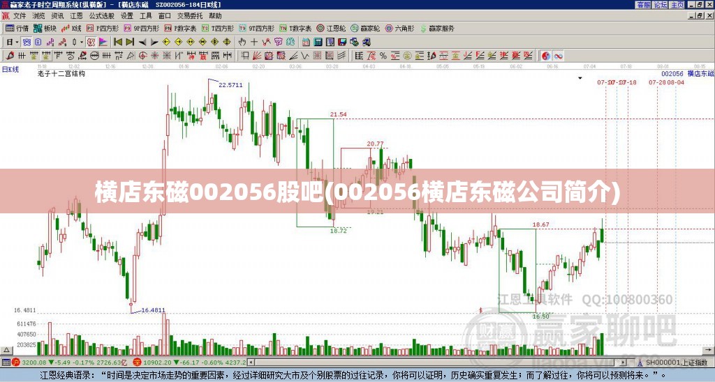 横店东磁002056股吧(002056横店东磁公司简介) 横店东磁002056股吧(002056横店东磁公司简介)