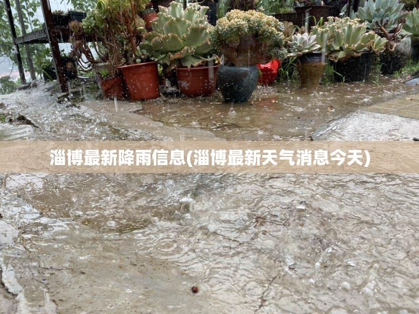 淄博最新降雨信息(淄博最新天气消息今天)