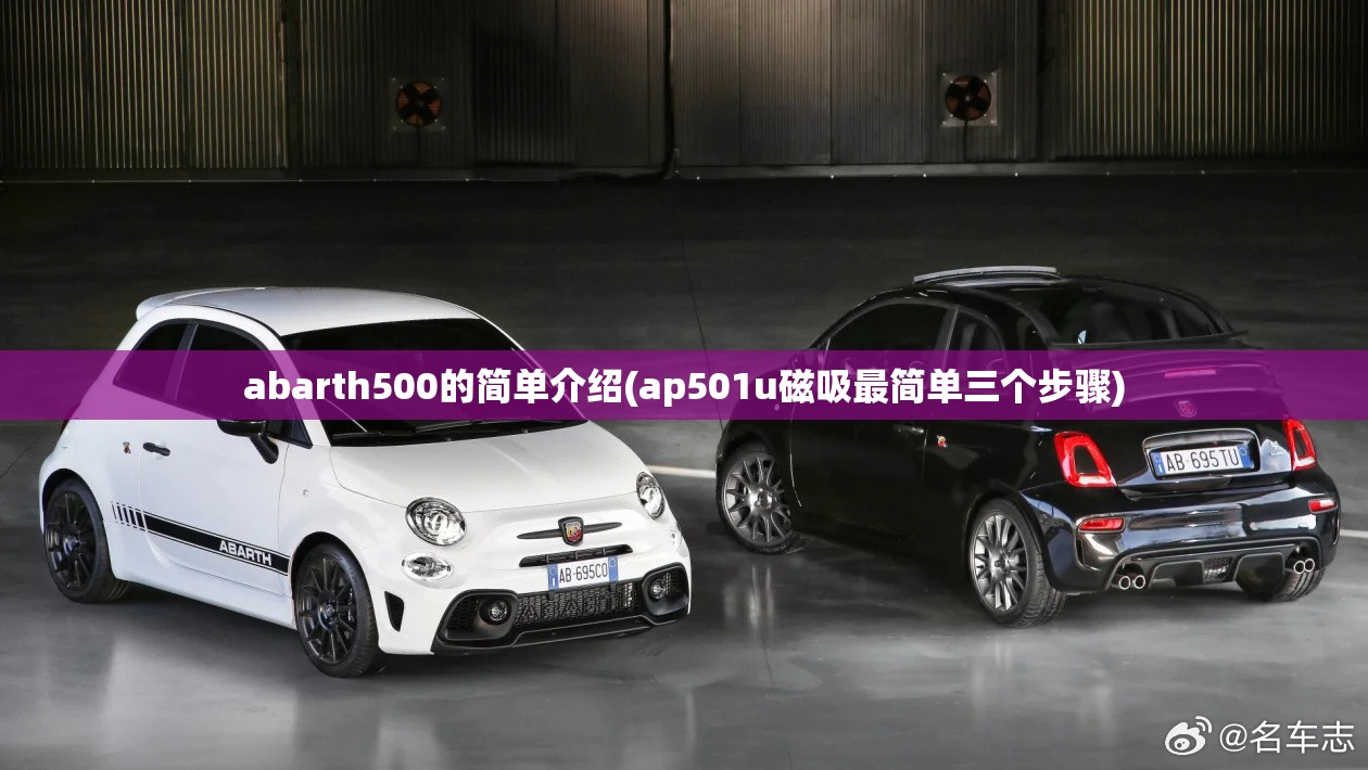 abarth500的简单介绍(ap501u磁吸最简单三个步骤) abarth500的简单介绍(ap501u磁吸最简单三个步骤)