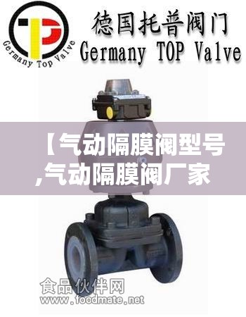 【气动隔膜阀型号,气动隔膜阀厂家】