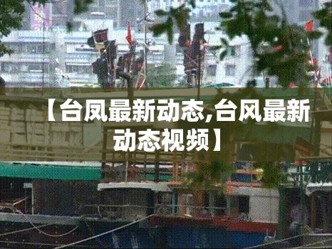 【台凤最新动态,台风最新动态视频】