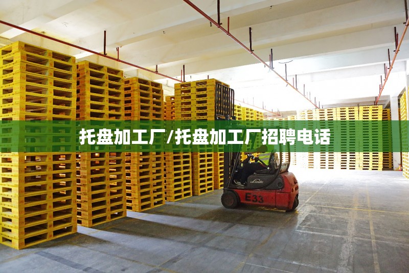托盘加工厂/托盘加工厂招聘电话
