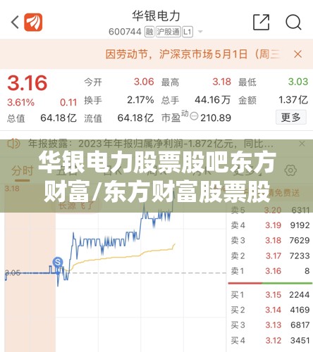 华银电力股票股吧东方财富/东方财富股票股吧300059