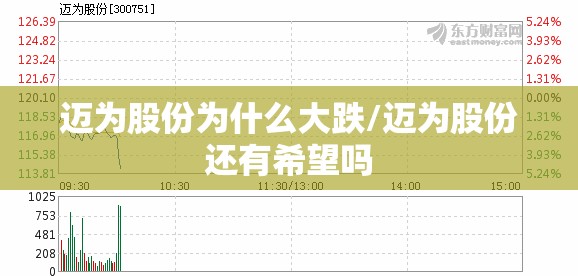 迈为股份为什么大跌/迈为股份还有希望吗