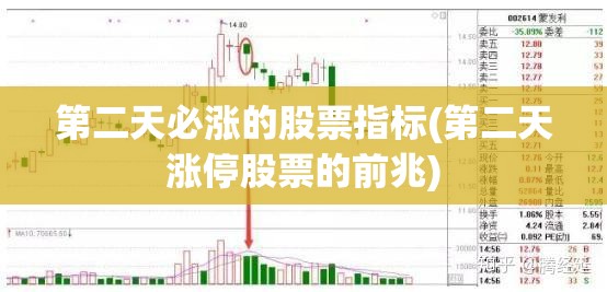 第二天必涨的股票指标(第二天涨停股票的前兆)