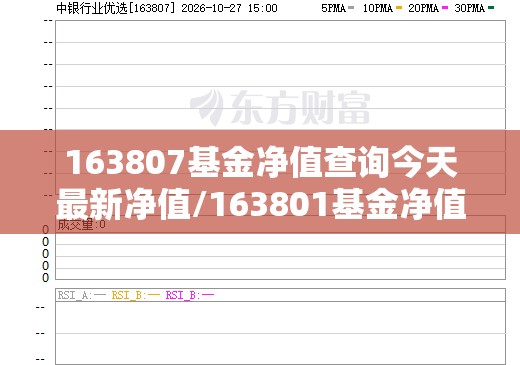 163807基金净值查询今天最新净值/163801基金净值查询