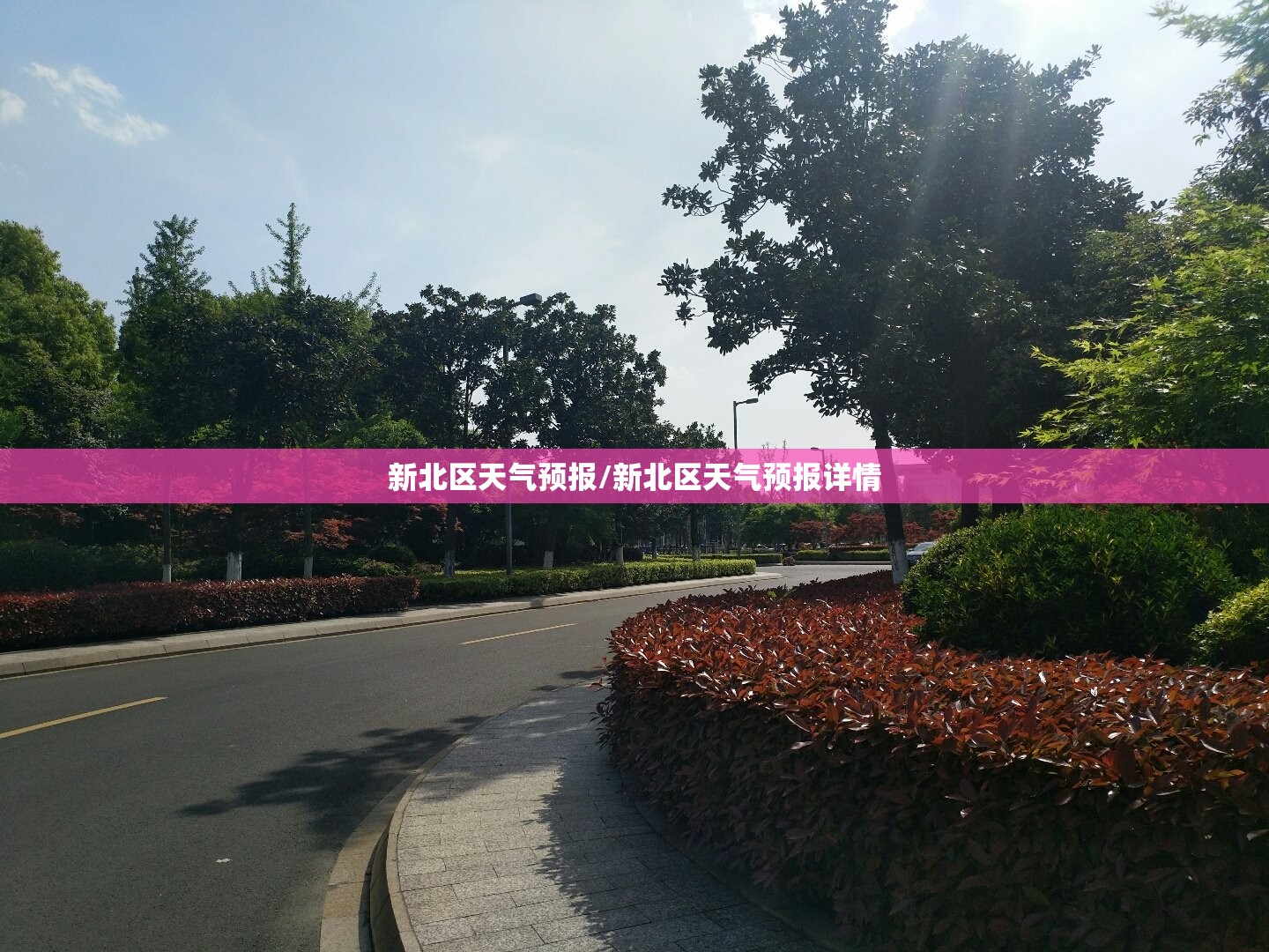 新北区天气预报/新北区天气预报详情