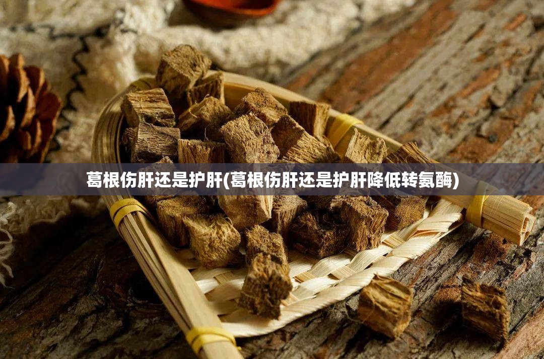 葛根伤肝还是护肝(葛根伤肝还是护肝降低转氨酶) 葛根伤肝还是护肝(葛根伤肝还是护肝降低转氨酶)