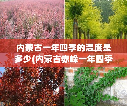 内蒙古一年四季的温度是多少(内蒙古赤峰一年四季温度)