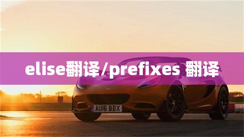 elise翻译/prefixes 翻译
