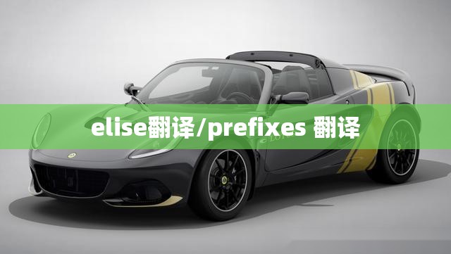 elise翻译/prefixes 翻译