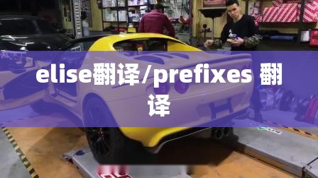 elise翻译/prefixes 翻译