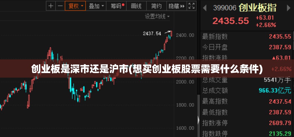 创业板是深市还是沪市(想买创业板股票需要什么条件)