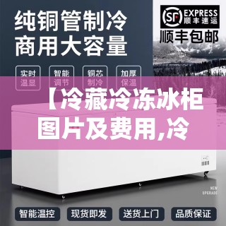【冷藏冷冻冰柜图片及费用,冷藏冷冻冰柜图片及费用大全】 【冷藏冷冻冰柜图片及费用,冷藏冷冻冰柜图片及费用大全】