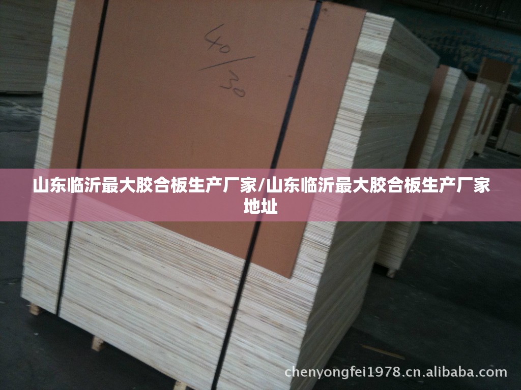 山东临沂最大胶合板生产厂家/山东临沂最大胶合板生产厂家地址