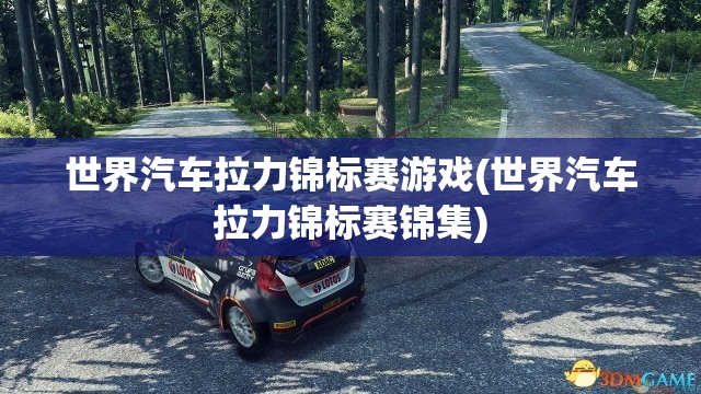 世界汽车拉力锦标赛游戏(世界汽车拉力锦标赛锦集) 世界汽车拉力锦标赛游戏(世界汽车拉力锦标赛锦集)