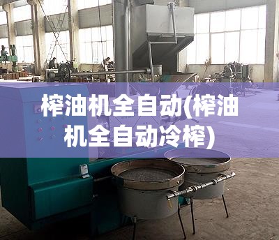 榨油机全自动(榨油机全自动冷榨) 榨油机全自动(榨油机全自动冷榨)