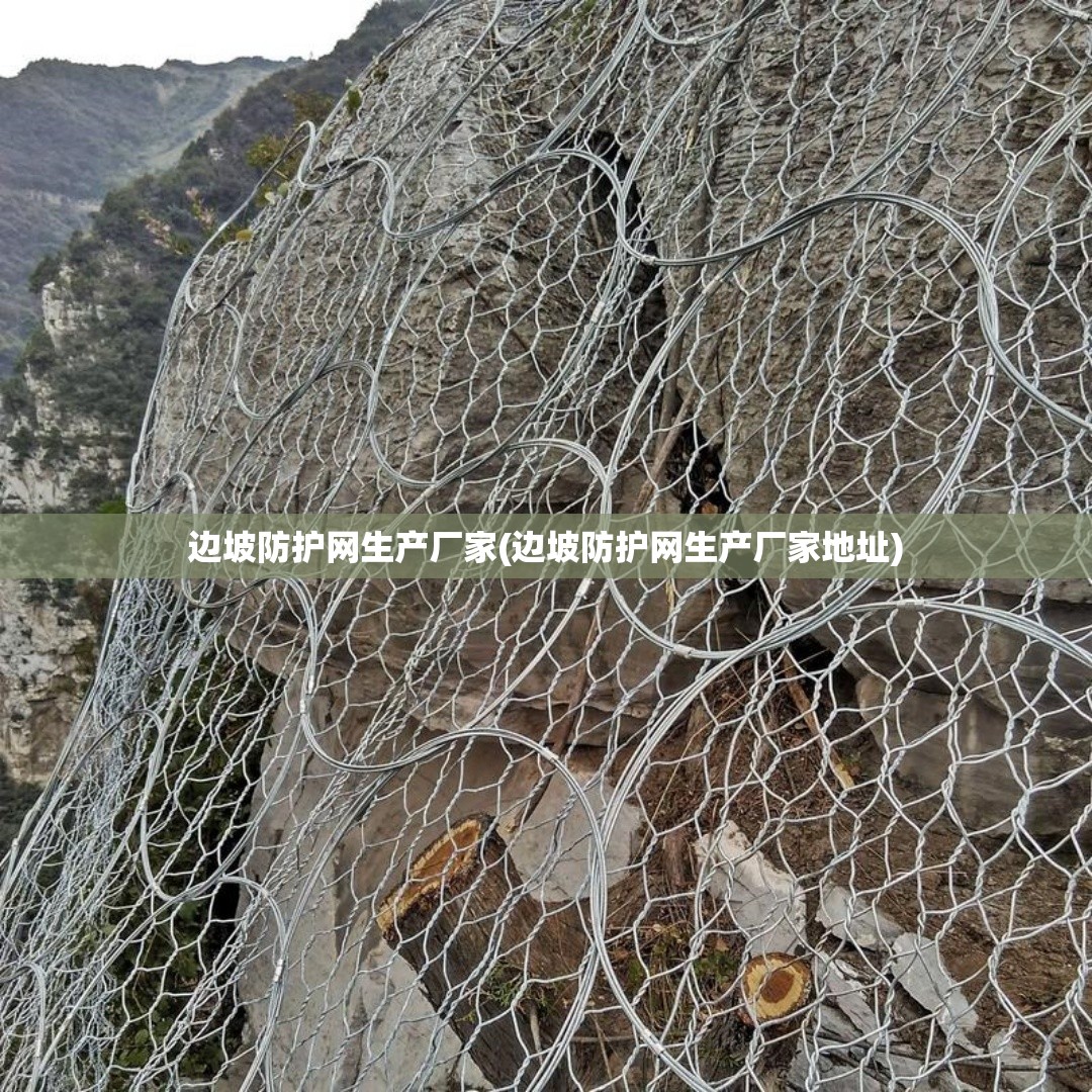 边坡防护网生产厂家(边坡防护网生产厂家地址)