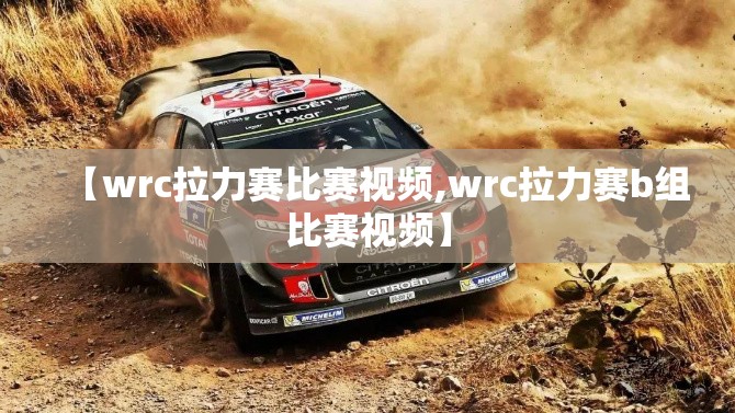 【wrc拉力赛比赛视频,wrc拉力赛b组比赛视频】