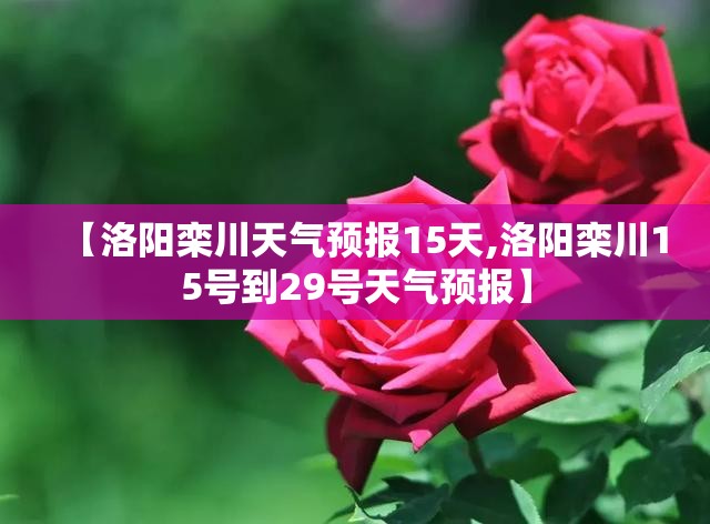 【洛阳栾川天气预报15天,洛阳栾川15号到29号天气预报】