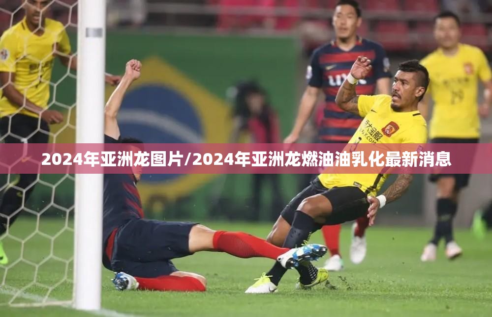 2024年亚洲龙图片/2024年亚洲龙燃油油乳化最新消息