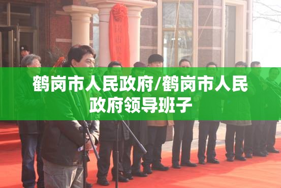 鹤岗市人民政府/鹤岗市人民政府领导班子
