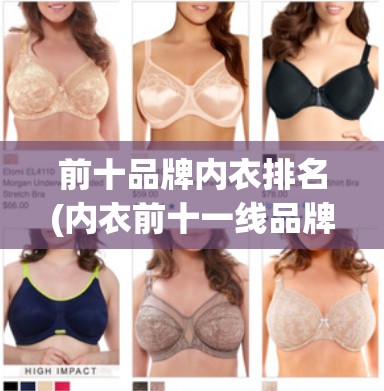 前十品牌内衣排名(内衣前十一线品牌)