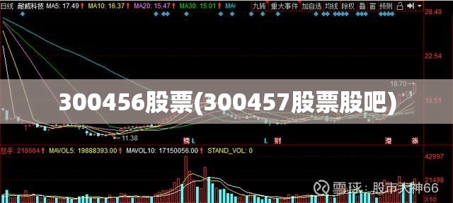 300456股票(300457股票股吧)
